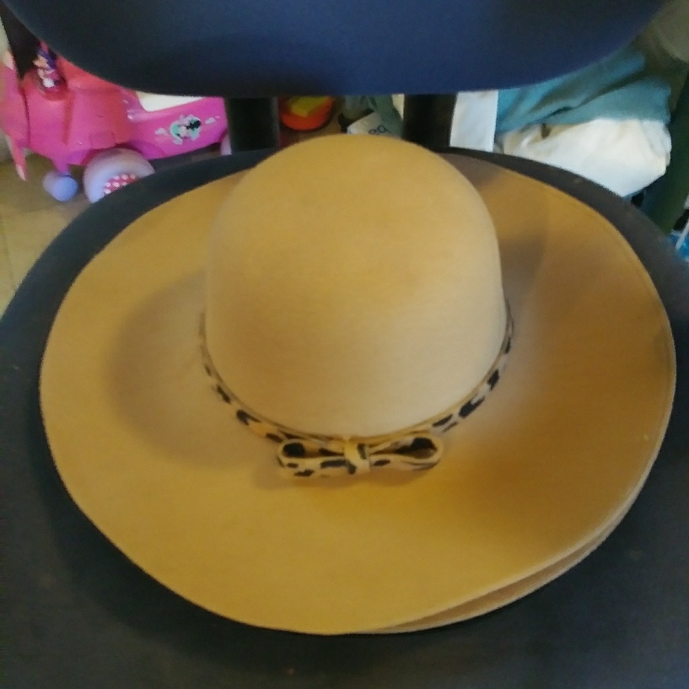 HAT - Picture 2 of 3